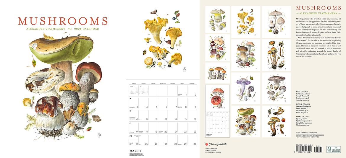 mushrooms-alexander-viazmensky-2024-wall-calendar