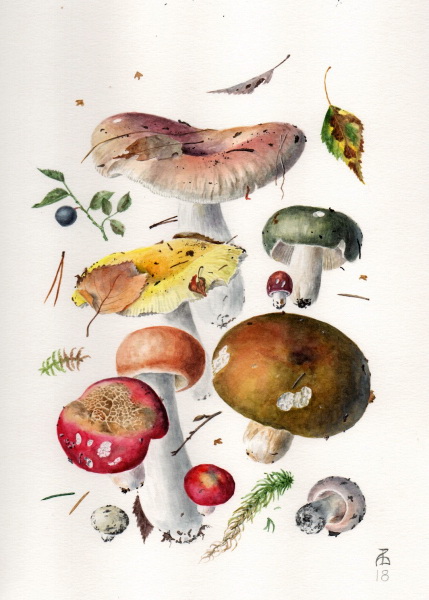 Russula Bouquet