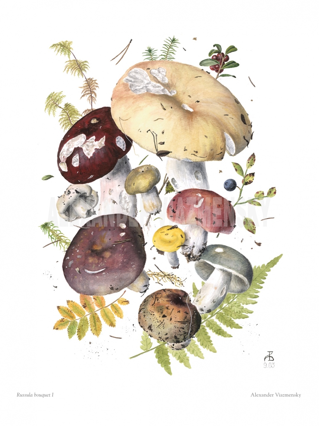 Russula Bouquet I